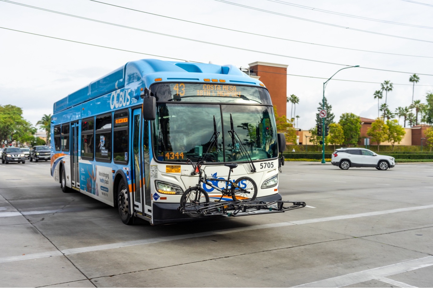 Octa California 