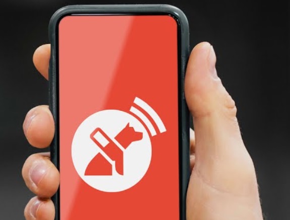 Lazarillo app offers audio descriptions for users (image: Lazarillo) Lazarillo location-based users visually impaired road safety