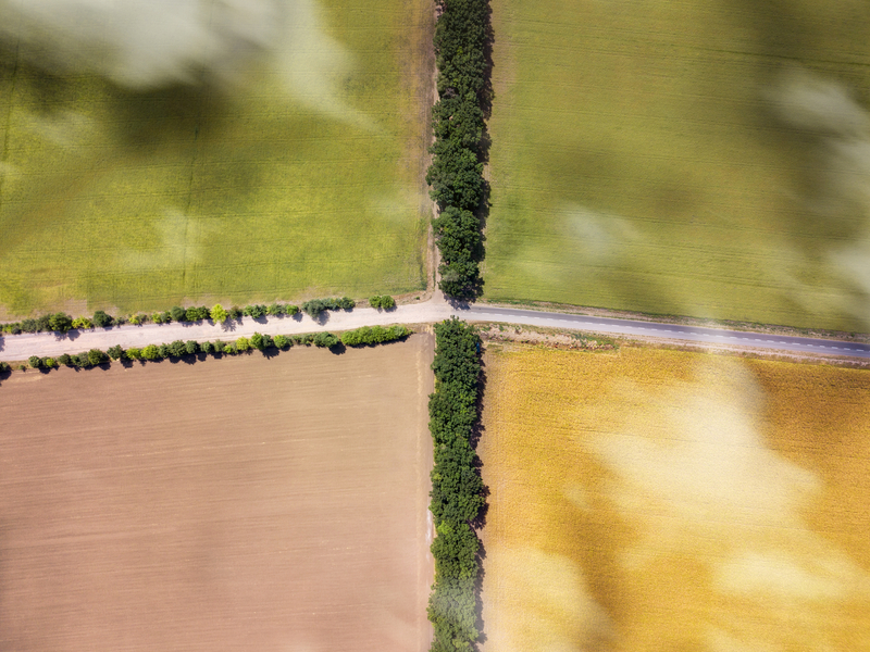 Previously, there had been no specific climate impact assessment guidance for roads, light rail and greenways in Ireland (© Artjazz | Dreamstime.com) Decarbonisation climate crisis roads infrastructure development © Artjazz | Dreamstime.com